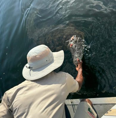 Blog-Black-River-Safari-IMG-20250908-WA0015a