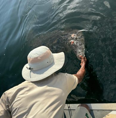 Blog-Black-River-Safari-IMG-20250908-WA0016a