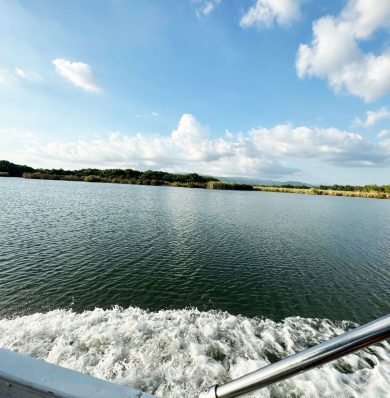 Blog-Black-River-Safari-IMG-20250908-WA0019b