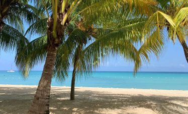 Under the cool shade of coconut trees on the Negril beach sand is a scene of the ocean waters with a small boat off into the distance to the left.