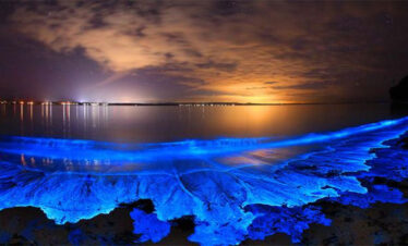 Glistening Waters Tour from Negril Hotels