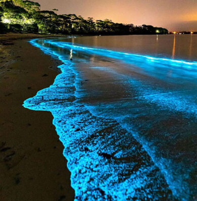 Blog-Glistening-Waters-1-432397363b