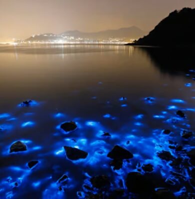 Blog-Glistening-Waters-1-58c