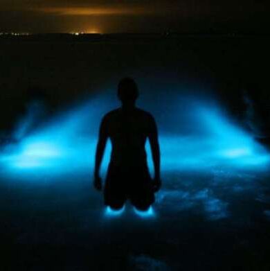 Blog-Glistening-Waters-1-Luminous-Lagoon-Glistening-Waters-Cruise_1415b