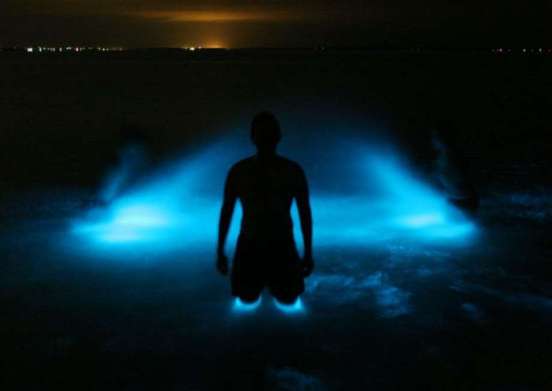 Blog-Glistening-Waters-1-Luminous-Lagoon-Glistening-Waters-Cruise_1415b