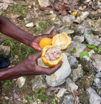 Blog-IMG-20250707-WA0027 2025-07-07 at 15.24.07_1c4543fa