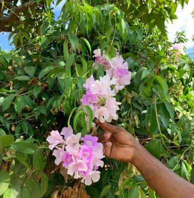 Blog-IMG-20250707-WA0030a