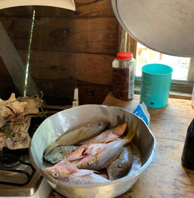 Blog-IMG-20250707-WA0033a