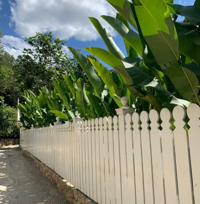 Blog-IMG-20250707-WA0035a