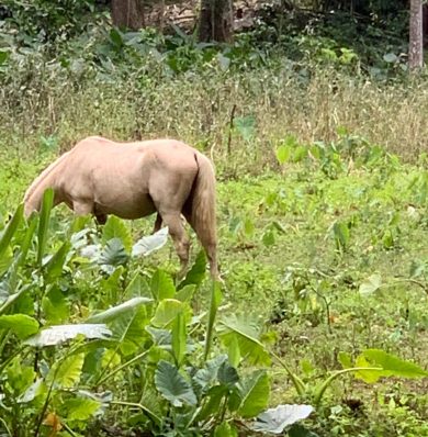 Blog-IMG-20250707-WA0039a