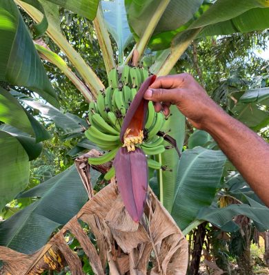 Blog-IMG-20250707-WA0054a