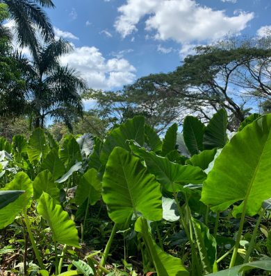 Blog-IMG-20250707-WA0063a