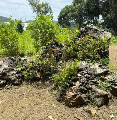 Blog-IMG-20250716-WA0015a