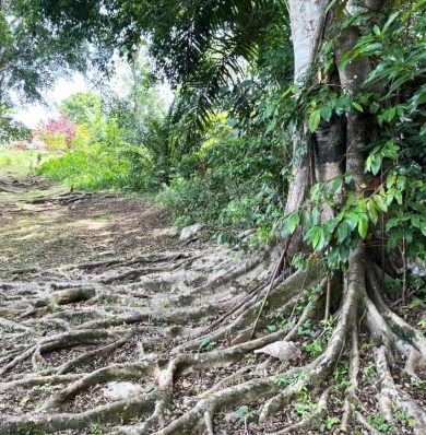 Blog-IMG-20250716-WA0023a