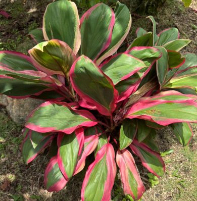 Blog-IMG-20250716-WA0029a