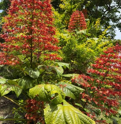 Blog-IMG-20250716-WA0030a