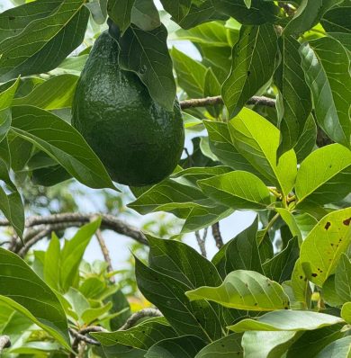 Blog-IMG-20250716-WA0034a