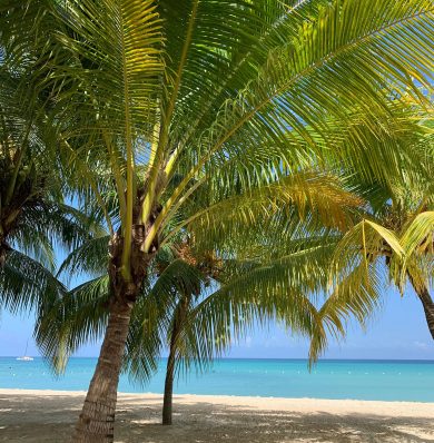 Blog-IMG-20250724-WA0007a