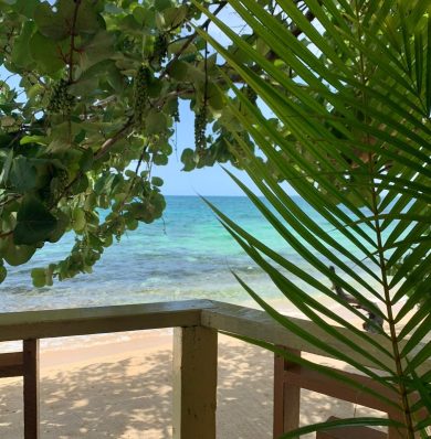 Blog-IMG-20250724-WA0009a