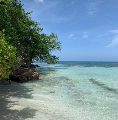 Blog-IMG-20250724-WA0015a