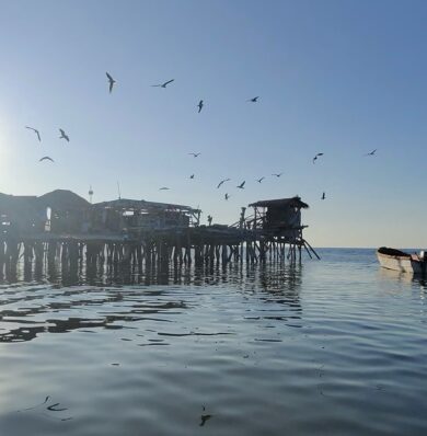 Evening at Floyd’s Pelican Bar