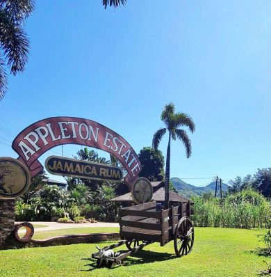 Blog-Post-Appleton-Estate-IMG-20250825-WA0013a