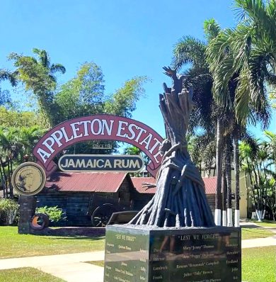 Blog-Post-Appleton-Estate-IMG-20250825-WA0015a