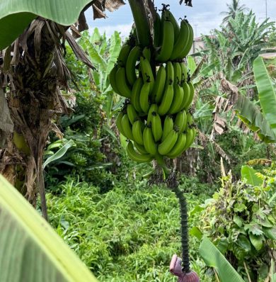 Blog-WhatsApp-Image-2025-07-16-at-08.25a