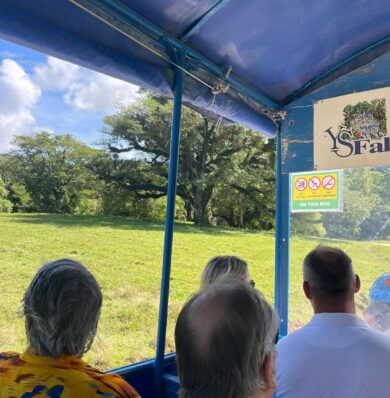 Blog-YS-Falls-467325370a