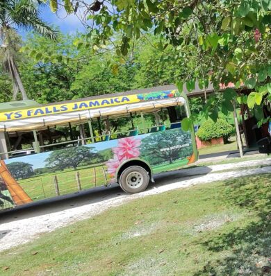 Blog-YS-Falls-500843826a