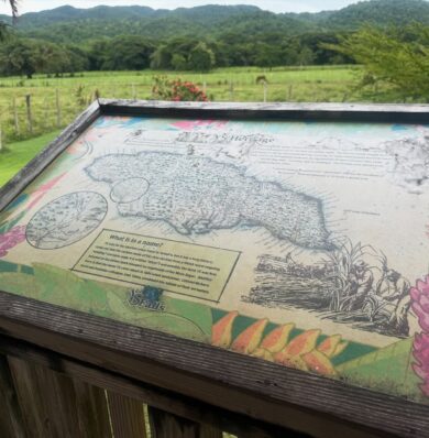 Blog-YS-Falls-539632772a