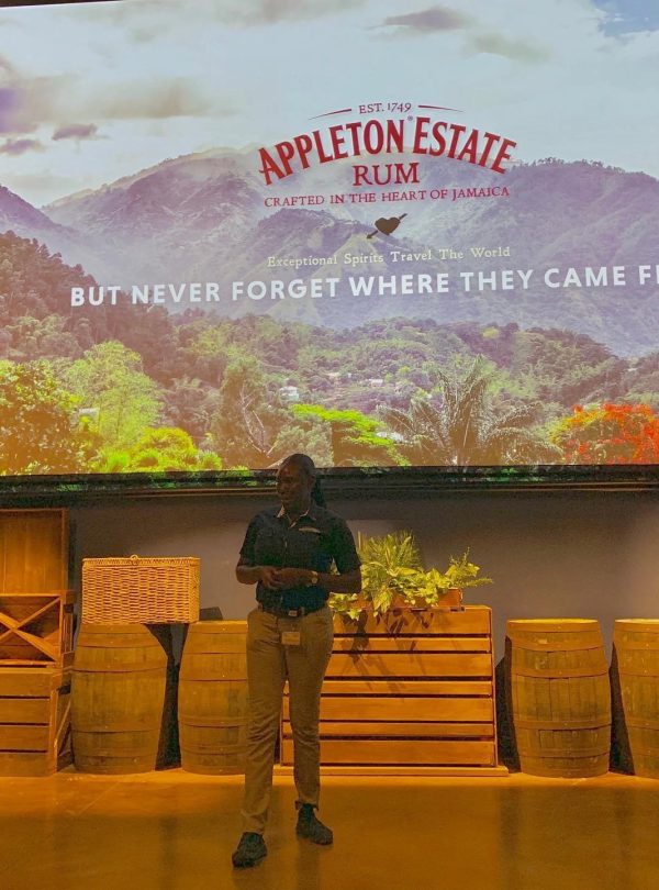 An employee of the Appleton Estate rum tour stands underneath a slide presentation preparing to field questions from a traveling group. On the screen above her is the end of the presentation showing the Appleton logo and beneath it, the words, “Exceptional spirits travel the world, but never forget where they came from”. Located in Santa Cruz, St. Elizabeth, the Appleton Estate Jamaica rum tour is frequented by travelers to Jamaica as well as by local guests of Island Turf Tours.