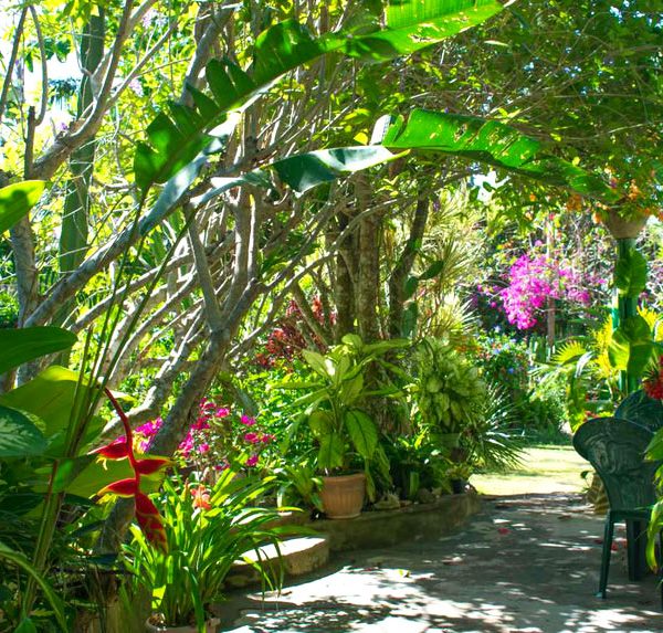 A small archway is seen that has many plants, potted and otherwise, which snakes through a small path at Barney’s Flower and Hummingbird Garden in Negril, Jamaica.
