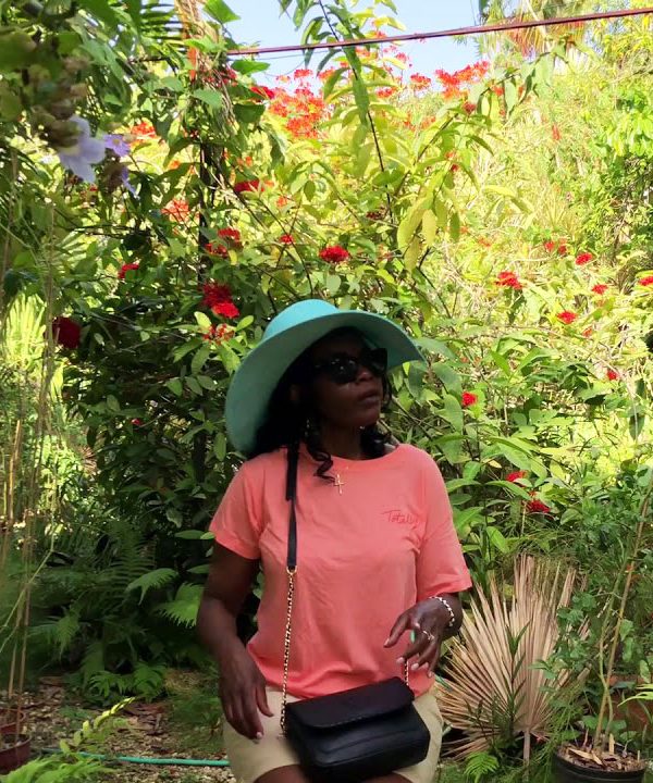 One of Island Turf Tours female guests dressed in a pink shirt, light-green hat and khaki pants receives instructions from an attendant dressed in light and dark brown with shades on, about how to feed the birds at the Barney’s Flower and Hummingbird Garden, located in Negril, Jamaica. He holds out his finger while demonstrating where the bottle should be held for the best way of serving the birds. Many flowering and other plants surround the pair.