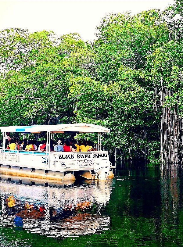 A white ferry boat sits atop very calm afternoon waters as the roughly 50 passengers sit listening to a standing female attendant explain the marshlands that they are currently passing through while on their Black River Safari Tour, part of St. Elizabeth’s eco-tourism thrust. A few guests here were carried to the attraction by Island Turf Tours.