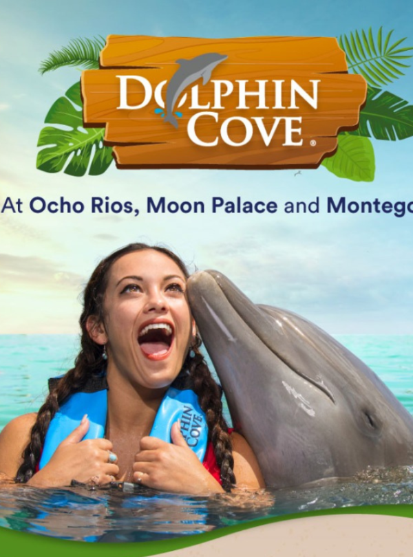 A promo picture for Dolphin Cove shows the highlight of the torso of a brunette woman with goldi-locks twin-braided hair screaming with excitement as a dolphin cuddles up to her face. The sea stretches out in the distance behind them. The wording above says, “At Ocho Rios, Moon Palace and Montego Bay”. The dolphin tour is sometimes requested by travelers visiting Jamaica who ride with Norris’ private transport service in Island Turf Tours.