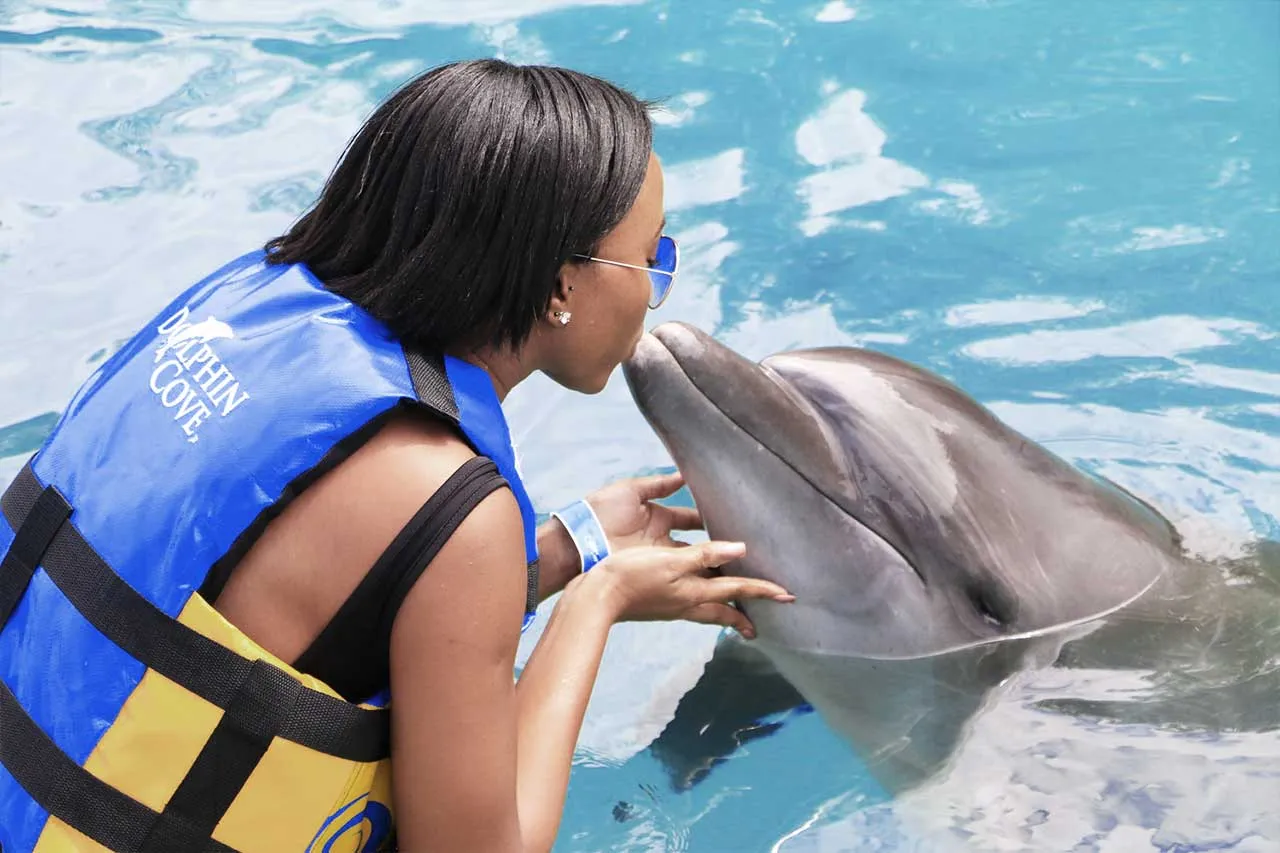 A woman in blue-shaded glasses kisses a dolphin on the base of its nose while supporting it gently with her hands. Clothed in a black one-piece swim suit underneath her blue and yellow Dolphin Cove branded life vest, she seems to be enjoying her time at the Montego Bay attraction that’s typically visited by Norris’ airport transfer guests at Island Turf Tours.