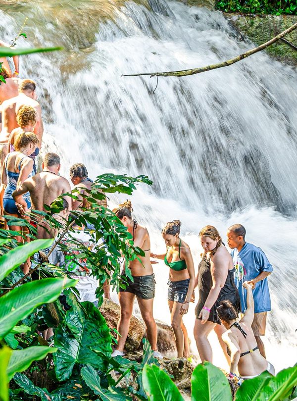 Tourist guests form a line and hold hands walking up the steep sides of the Dunn’s River Falls. Lush plant life surrounds the scene as guests pay keen attention to where their feet are lodged as they take their time moving up together. The rough water hits on the rocks as it rushes down to form a beautiful scene in the background.