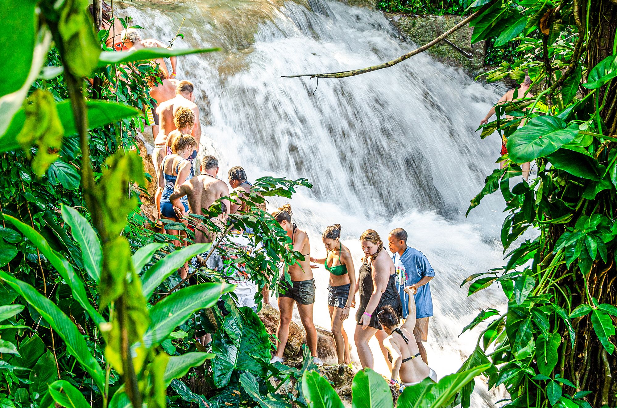 Tourist guests form a line and hold hands walking up the steep sides of the Dunn’s River Falls. Lush plant life surrounds the scene as guests pay keen attention to where their feet are lodged as they take their time moving up together. The rough water hits on the rocks as it rushes down to form a beautiful scene in the background.