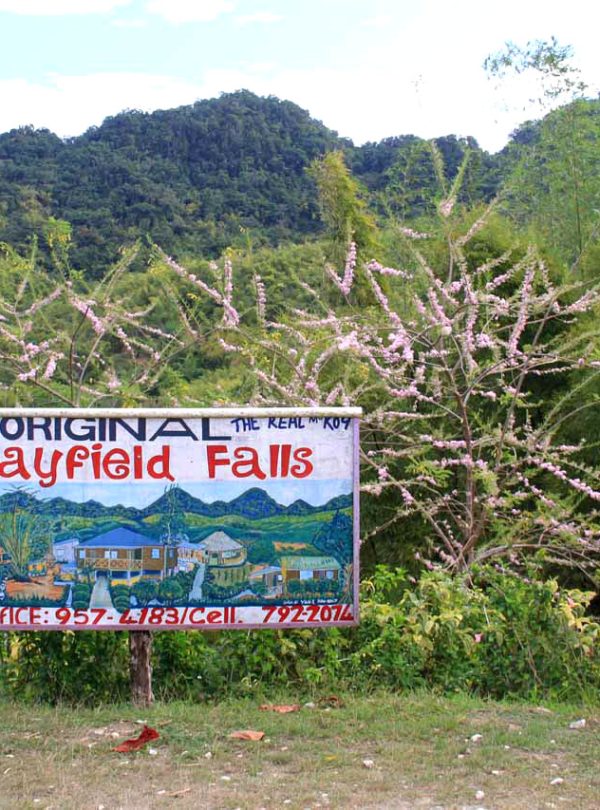 The front entrance section of the Mayfield Falls showing the wooden sign that says “the original MayField Falls” and having a picture of the property set against some rolling hills. The falls is a popular destination for Island Turf Tours visitors.