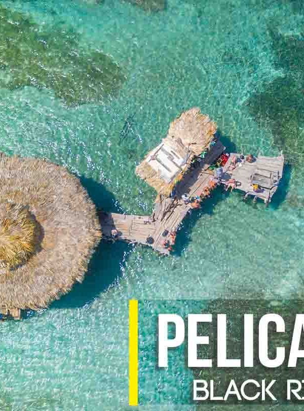An overhead shot of the Pelican Bar, off the coast of Black River, St. Elizabeth where Norris frequently carries travelers visiting Jamaica in his Montego Bay to Negril private airport transfer tour service. Here, tourists can be seen sitting on the walkway platform hanging out and talking as the green waters and two small fishing-like boats surround the calm sunny scene.