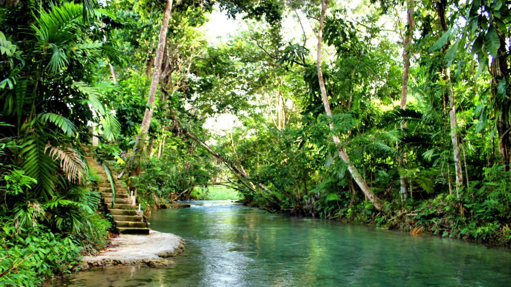 The lush forest-like tranquil scene of the Roaring River in Negril, Jamaica – a frequent island quick-stop spot for visitors of Island Turf Tours, shows a leftward stone-made staircase coming down to the natural ground of the river. This evening is particularly calm and the water is not as typically rough as it normally would be.