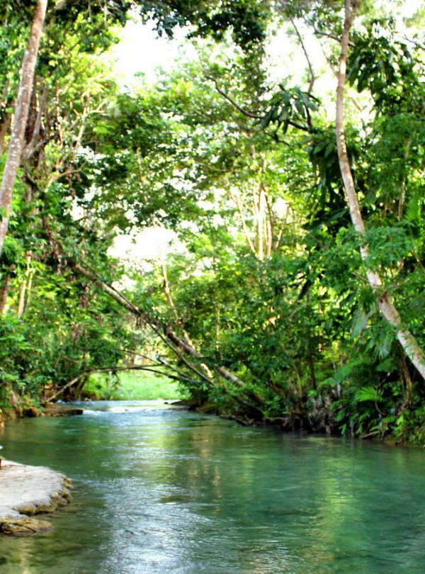 The lush forest-like tranquil scene of the Roaring River in Negril, Jamaica – a frequent island quick-stop spot for visitors of Island Turf Tours, shows a leftward stone-made staircase coming down to the natural ground of the river. This evening is particularly calm and the water is not as typically rough as it normally would be.