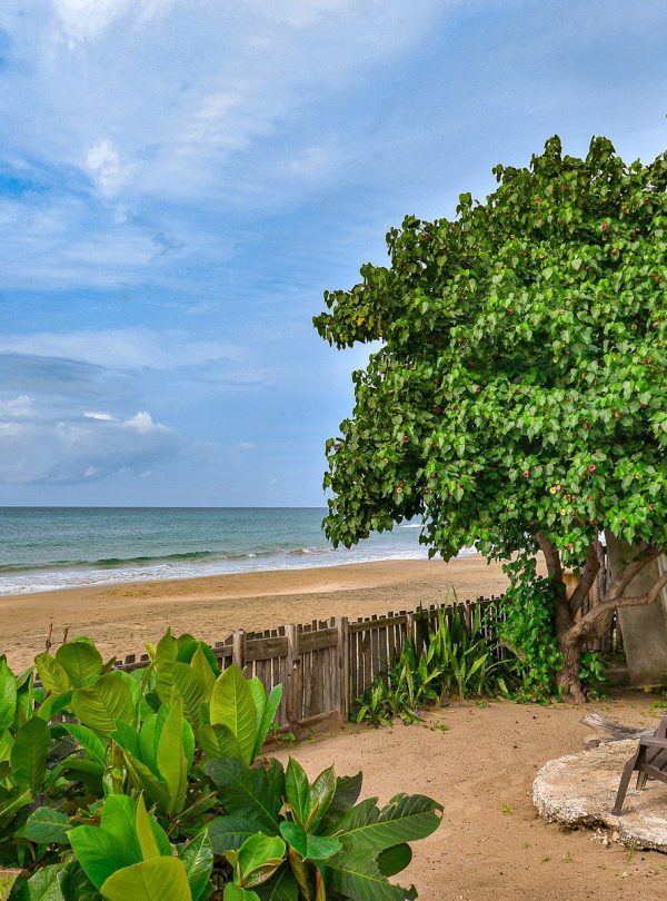 A calm evening overlooks a resident’s beach-side yard at Treasure Beach, St. Elizabeth. Their small unpainted picket fence separate the beach sand from the inside of the yard space that’s situated to the right-hand side, where chest-height tufts of almond trees lie to the left of the property. Two chairs are seated on a short platform for the residents to sit and look out at the sea. The yellow-painted wooden hut with its green door sits atop some foundation stone supports and is flanked by a Portia tree (or Pacific rosewood tree). And a very tiny concrete storage shed sits almost attached, to the left of the hut.
